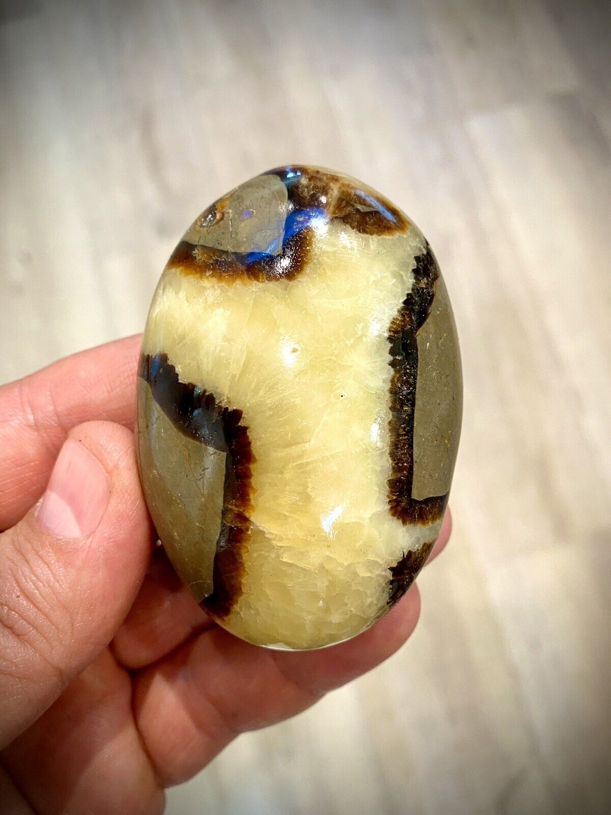 Septarian Crystal Dragon Stone Healing Crystals Yoga Reiki Meditation 3