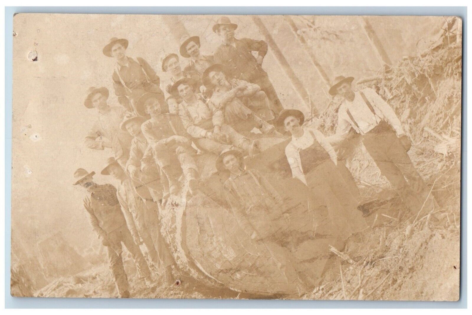 c1910\'s Postcard RPPC Photo Logging Giant Tree Occupational Scene Field Antique