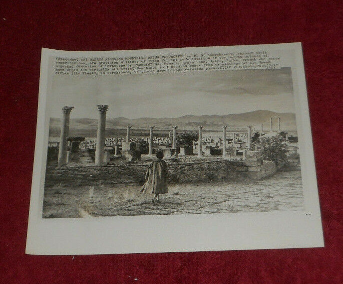 1964 Press Photo View Of Ancient Roman City Ruins Timgad Algeria