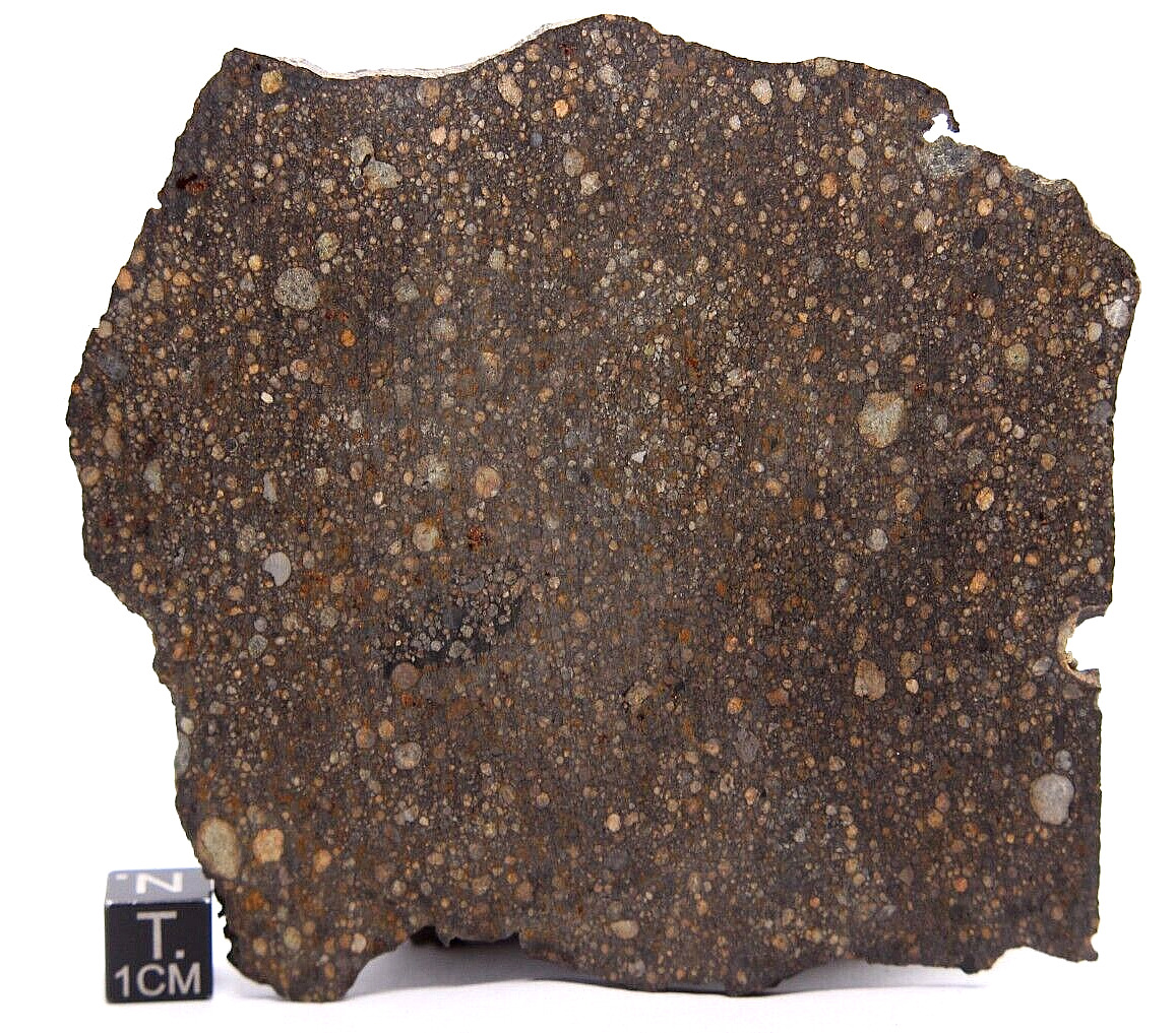 Meteorite NWA 13309 LL3.15 CHONDRITE 51 gram Type 3 meteorite