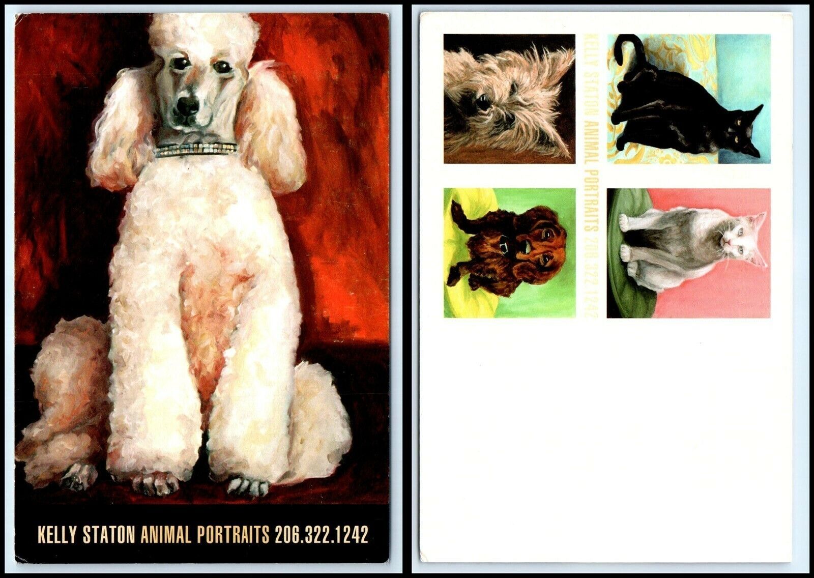 DOG Postcard - White Poodle Portrait D20