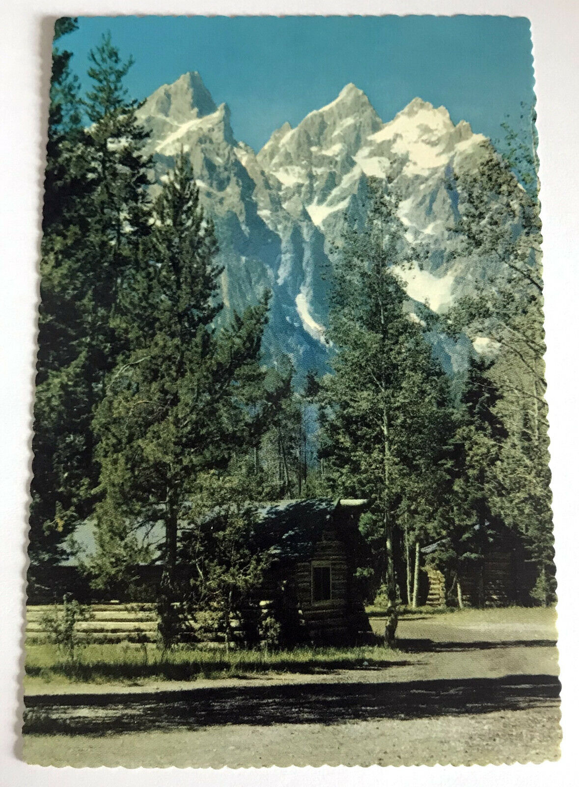 Post Card Grand Teton National Park Wyoming 13766 feet above sea level