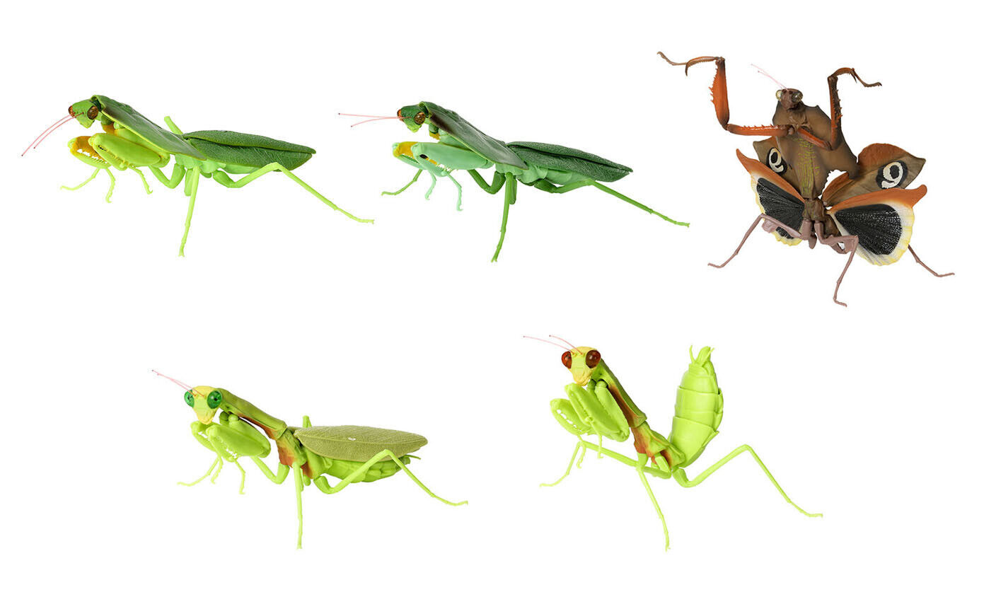 The Diversity of Life on Earth Mantis Figure Vol 4 Bandai Gashapon set of 5