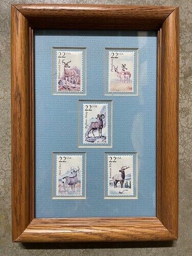 5 US Postal Service Stamp Deer 22 USA Framed 22c White Tailed Pronghorn Bighorn