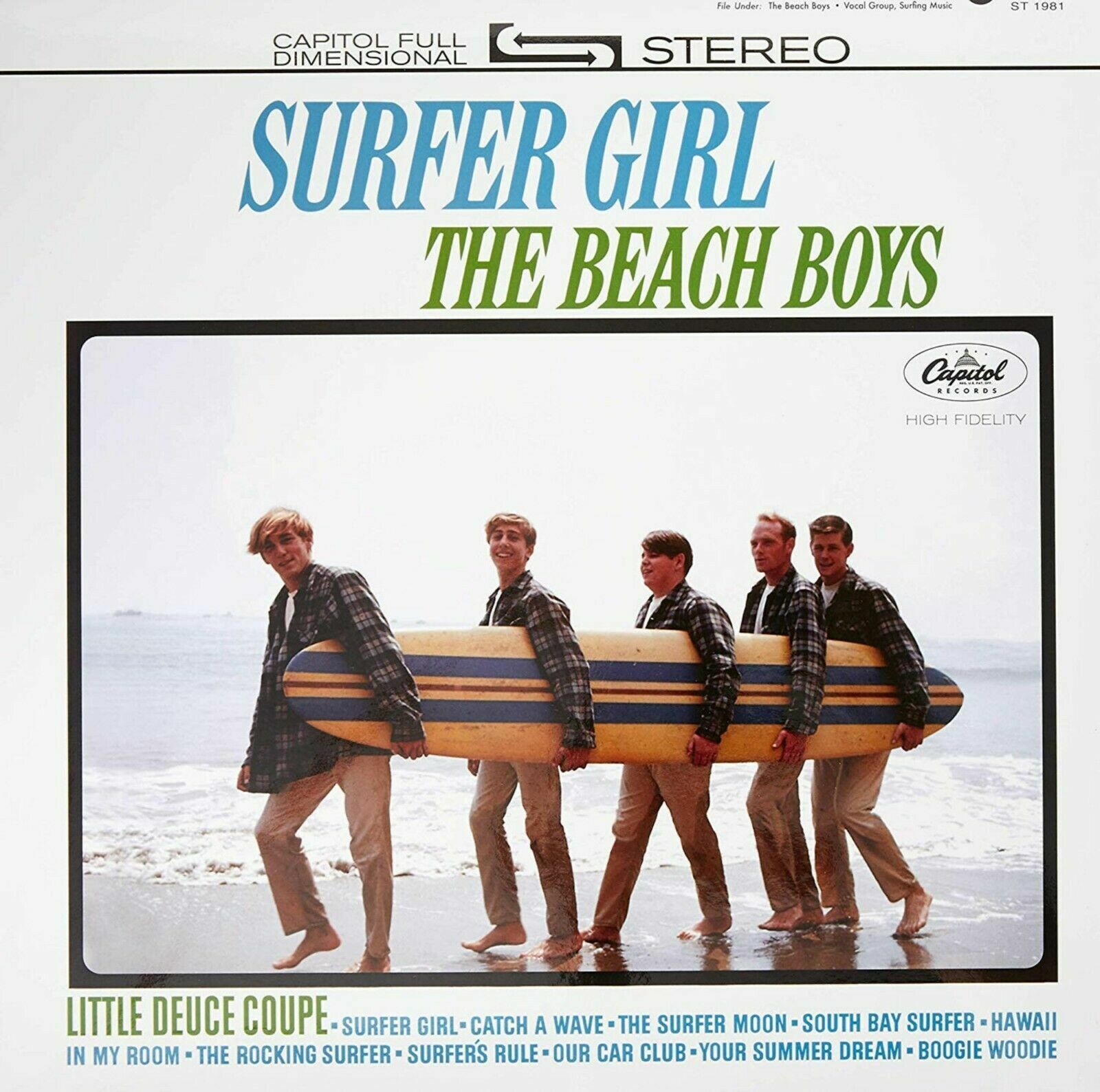 The BEACH BOYS Surfer Girl HUGE 4x4 Ft Tapestry Banner Album Poster NEW