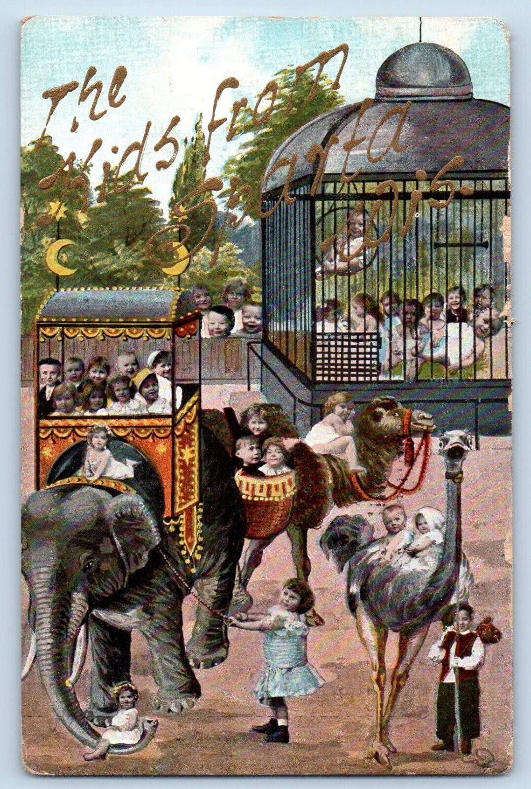 Sparta Wisconsin Postcard Circus Elephant Babies Zoo Park c1910 Vintage Antique