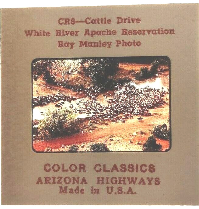 3 Slides 35mm Arizona Highways Cattle Range Drive White River Gertrudis 1954-'65