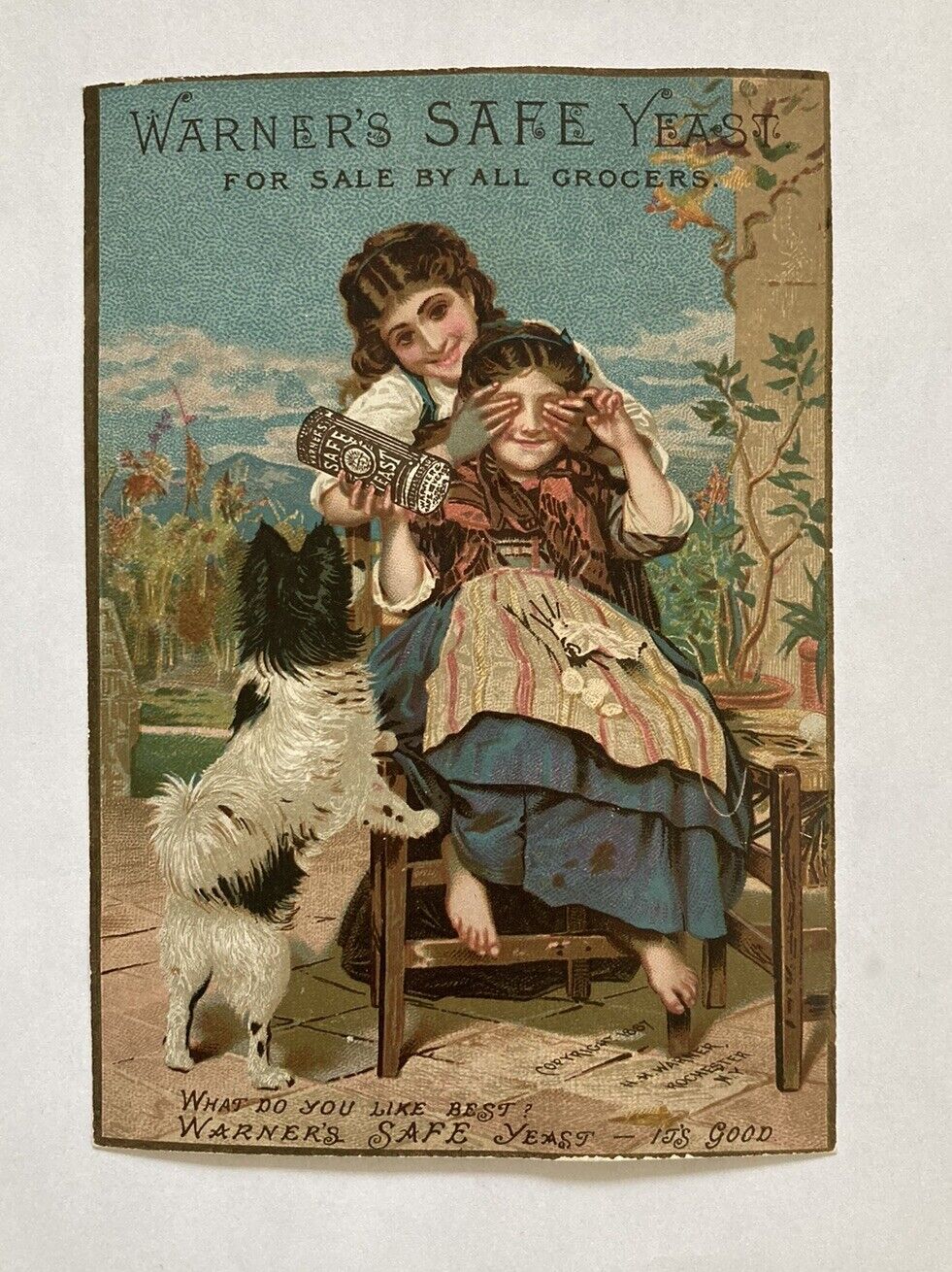 Warners Safe Yeast Victorian Trade Card Quackery Medicine Girls On Bench Dog