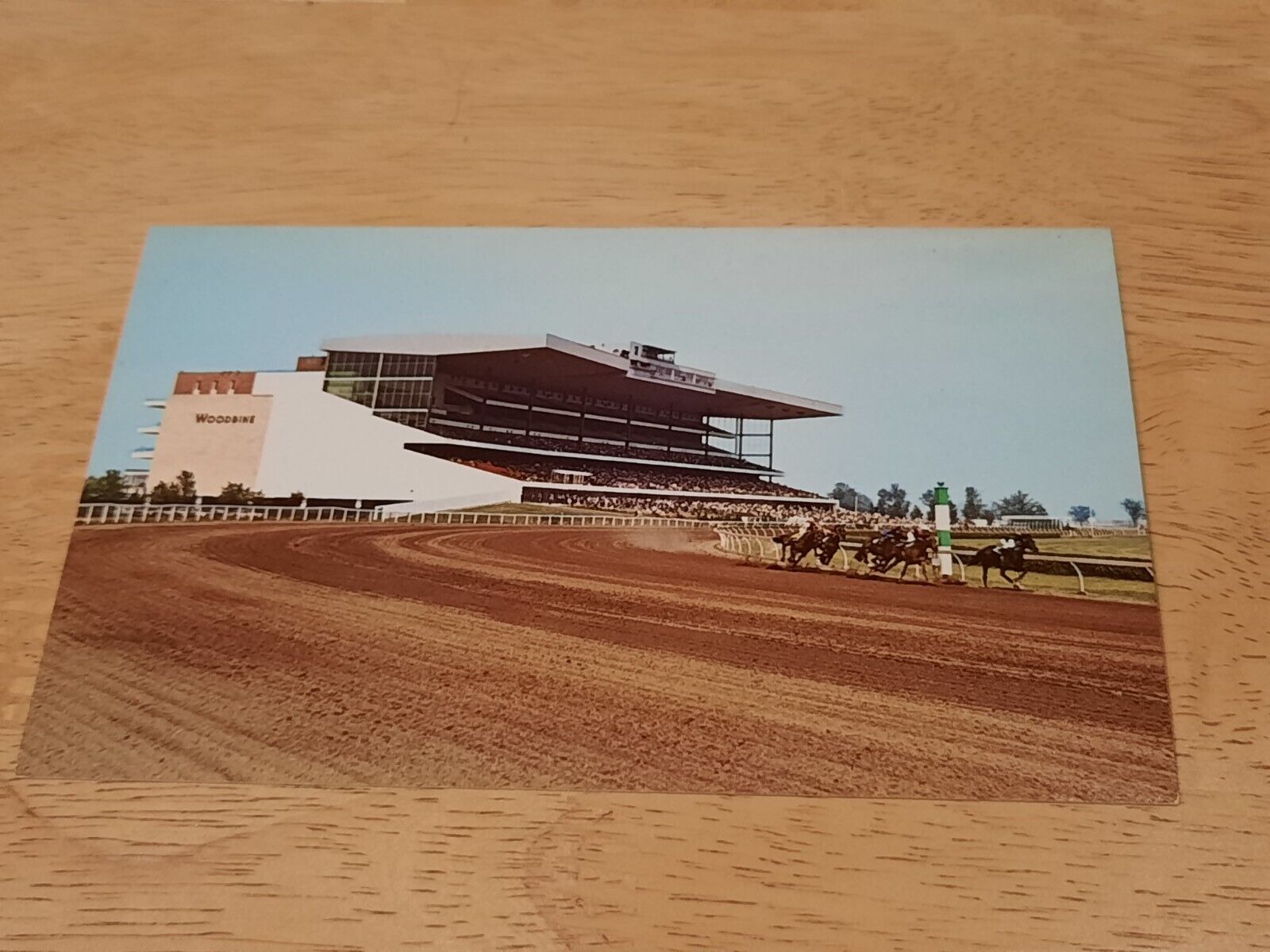 The Woodbine Racetrack Toronto Ontario Canada Horse Vintage Postcard
