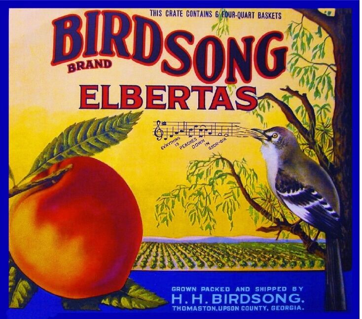 Thomaston Upson Georgia Peaches Birdsong Bird Peach Fruit Crate Label Art Print