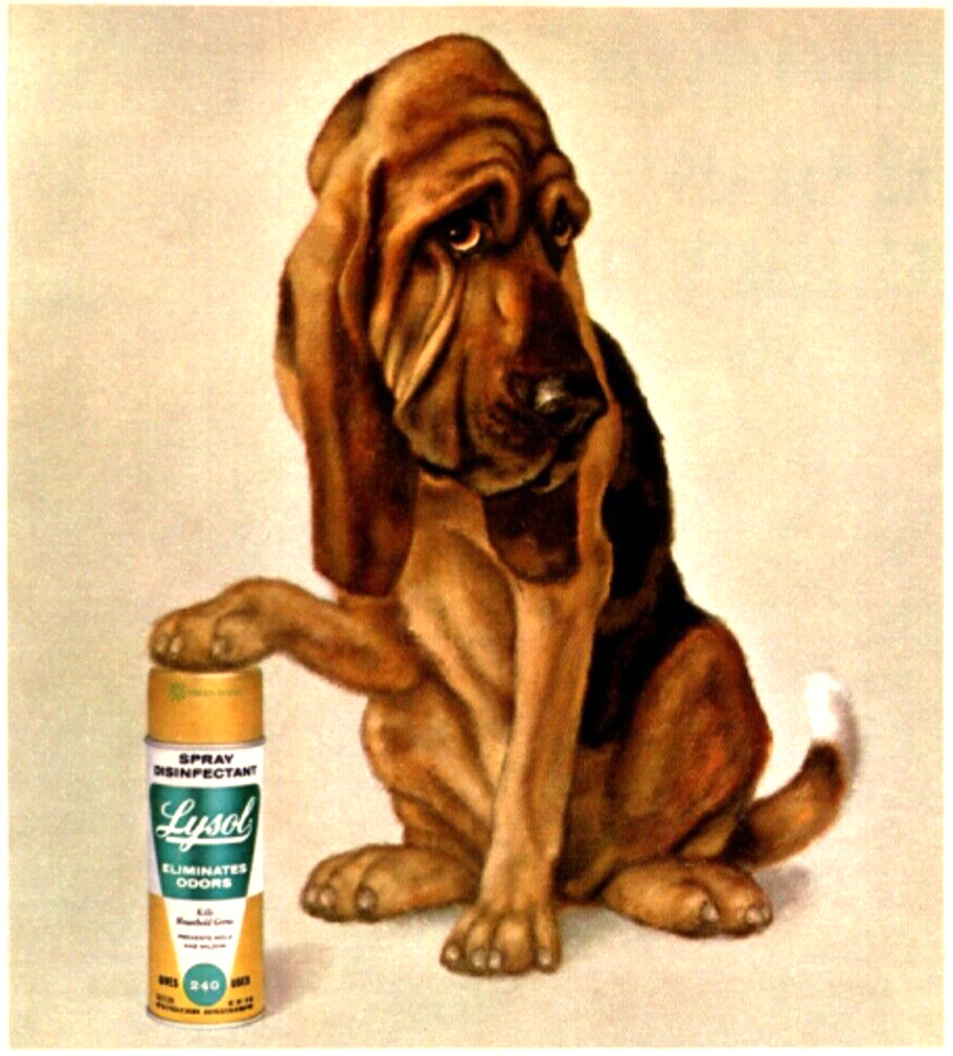 Vintage Print Ad 1969 Lysol Household Odors Germs Bloodhound Dog Illustration