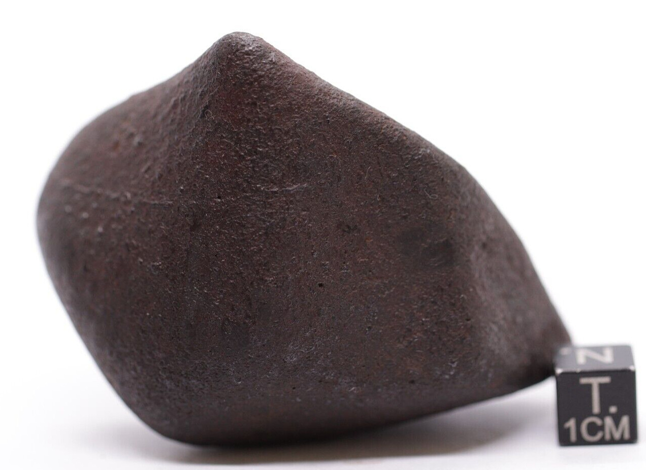 Meteorite NWA Chondrite Meteorite 153 grams