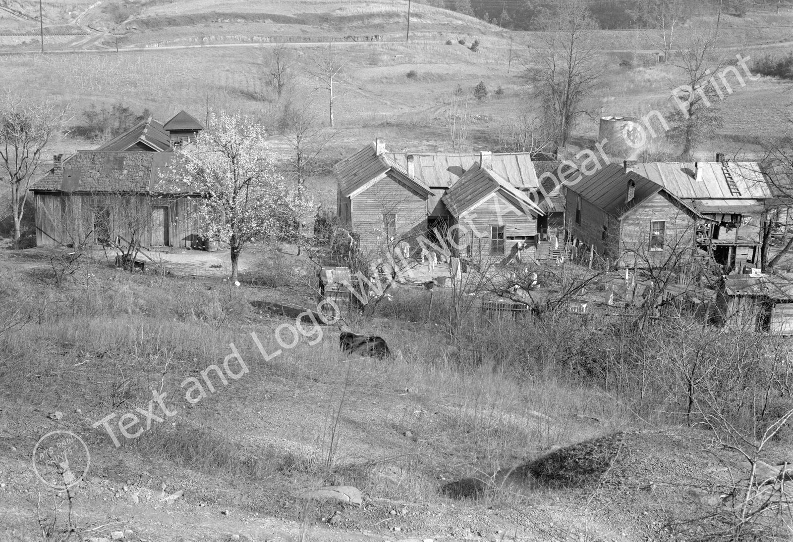 1937 Rural Slum Area Near Birmingham, Alabama Old Photo 13\