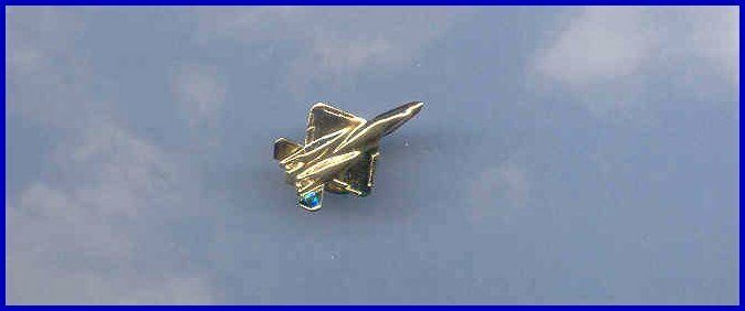 F-23 Pin Military Aircraft Airplane Pilot Aviation Aviatrix 99's Made In The US