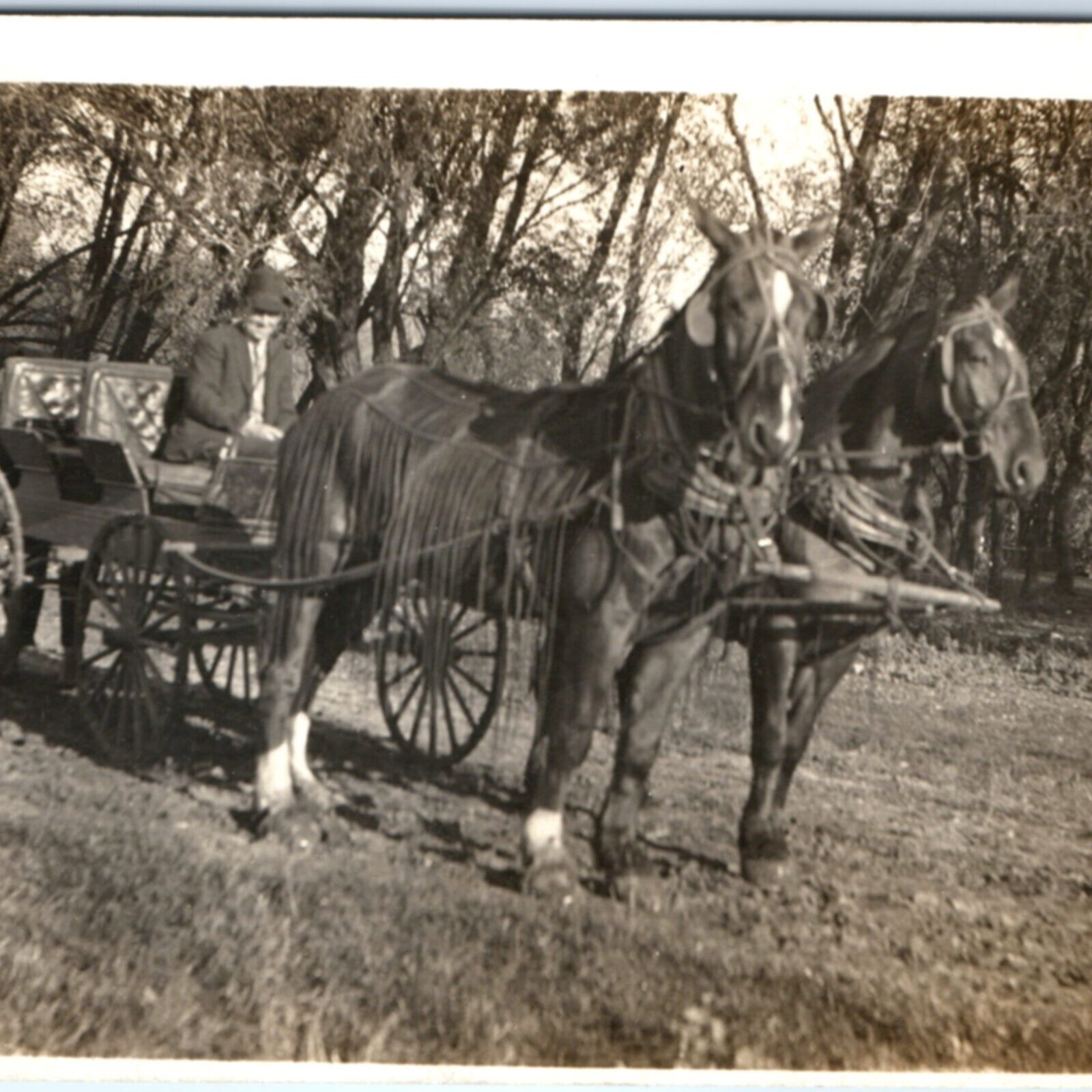 1900s Old Man Fancy Horse Carriage RPPC Wagon Real Photo Estherville Cancel A135