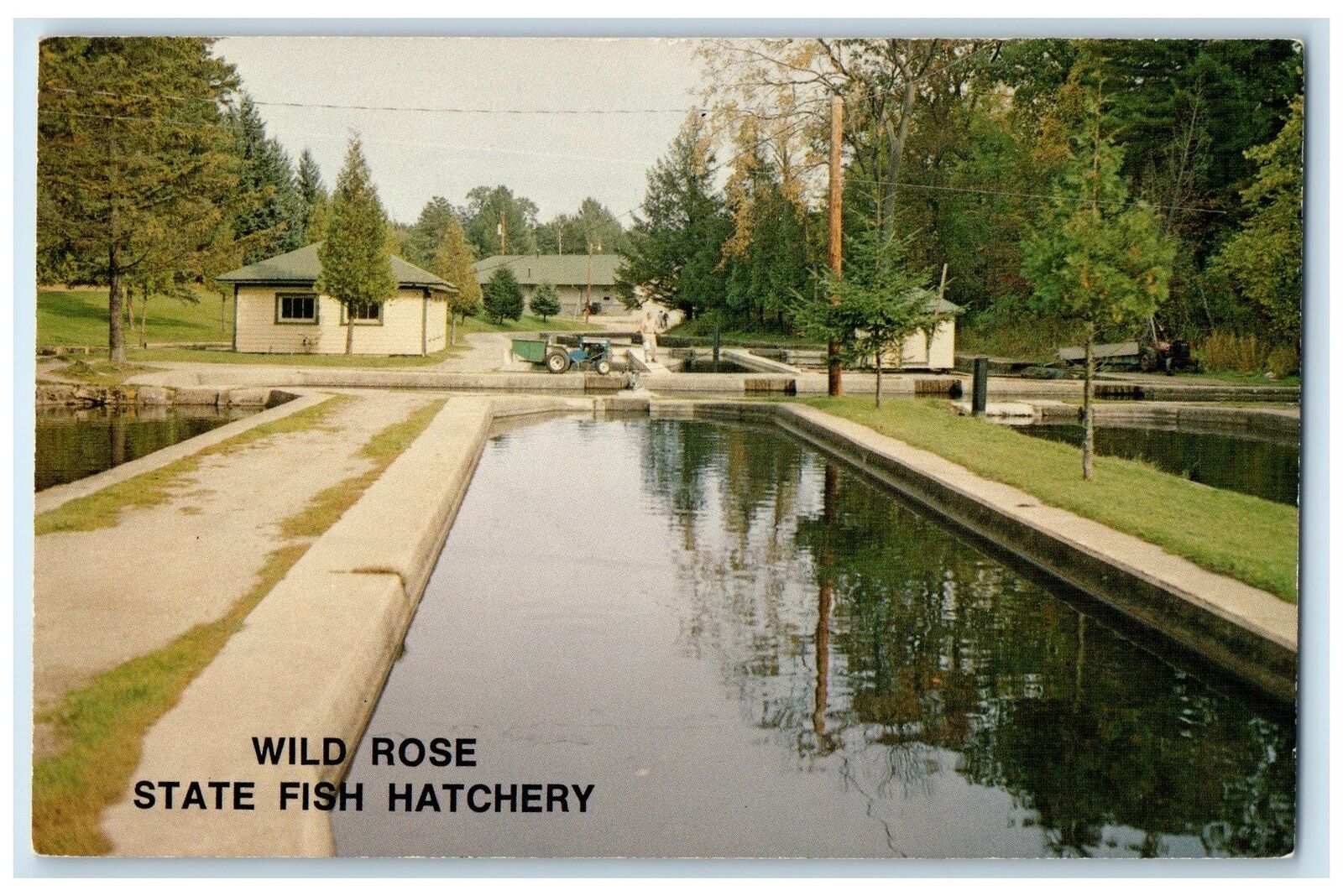 c1950's State Fish Hatchery Management Station Wild Rose Wisconsin WI Postcard