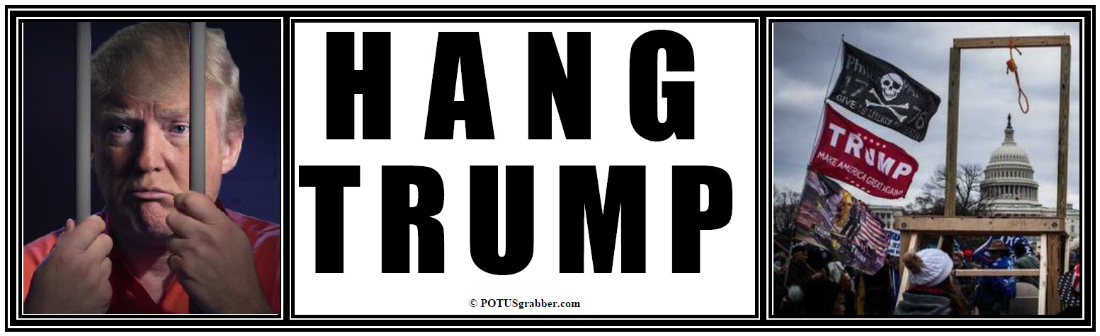 anti Trump: HANG TRUMP  political bumper sticker
