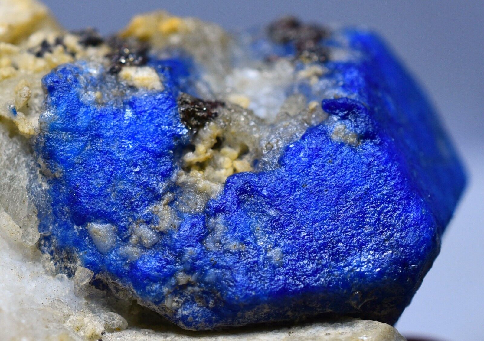 487 CT Full Terminated Natural Royal Blue Lazurite Crystals On Matrix Specimen