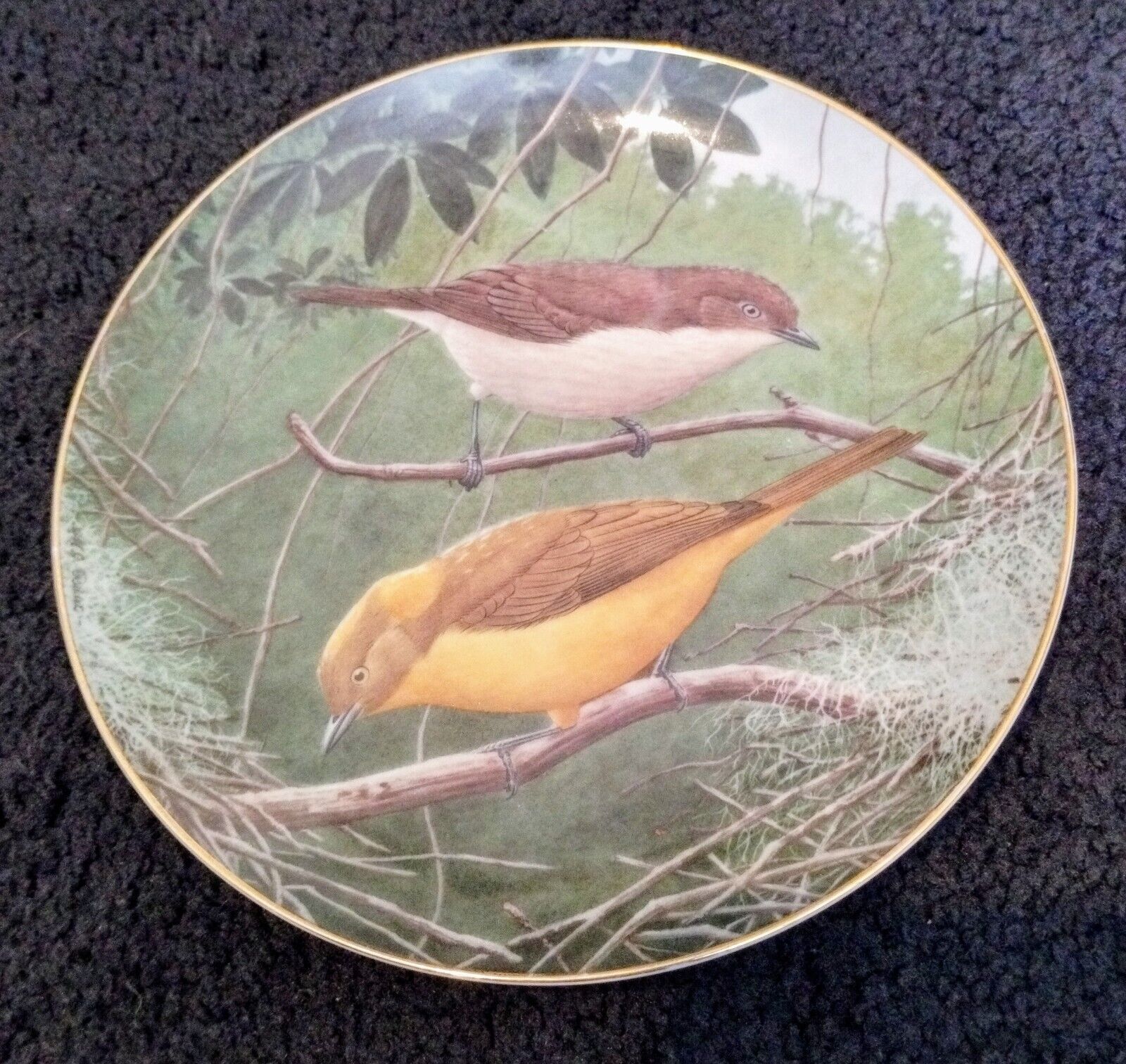Golden BowerBird Decorative Bird Plate Wall Hanging, The World's Favorite