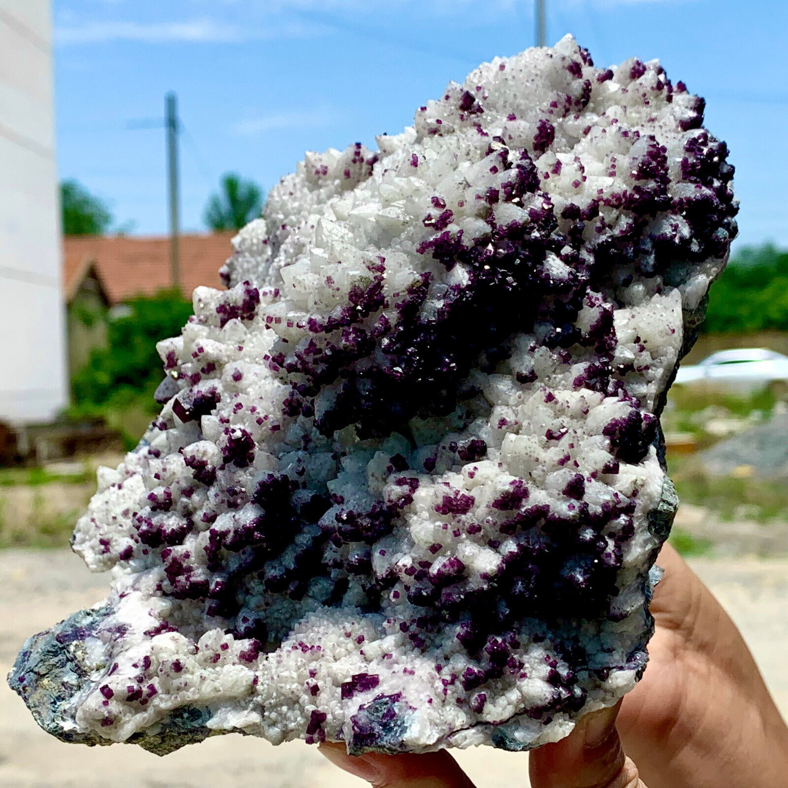 8.47LB White quartz cluster+purple cubic fluorite from Inner Mongolia, China