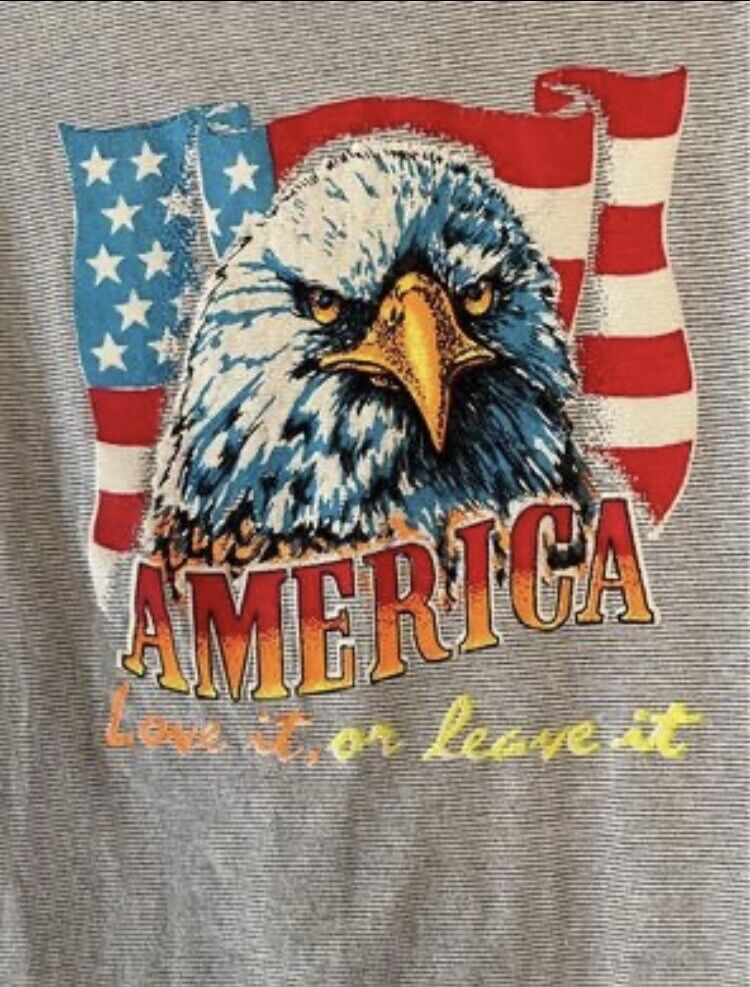 Patriotic Eagle Flag “America Love It Or Leave It” Tshirt Mens Large Gray Stripe