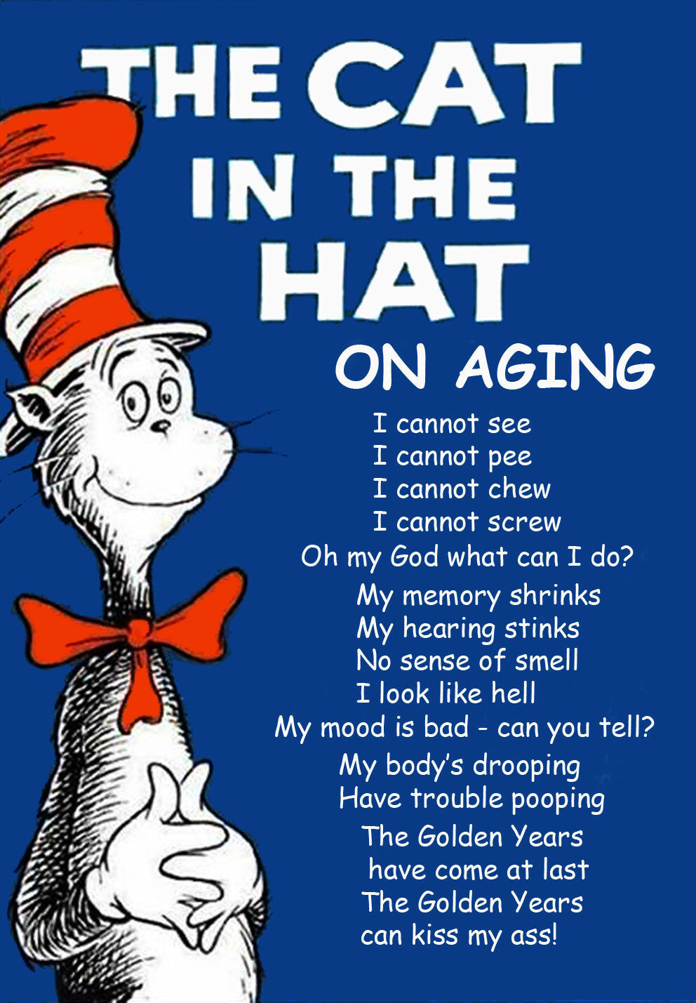 THE CAT IN THE HAT ON AGING HUMOROUS BEER FRIDGE LOCKER MAN CAVE MAGNET