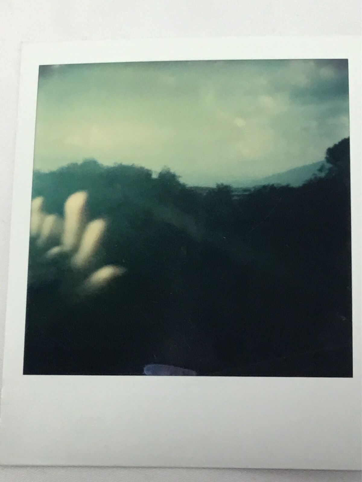 Vtg Polaroid Photo Odd Hands Trees Blurry Weird Landscape Found Art Snapshot