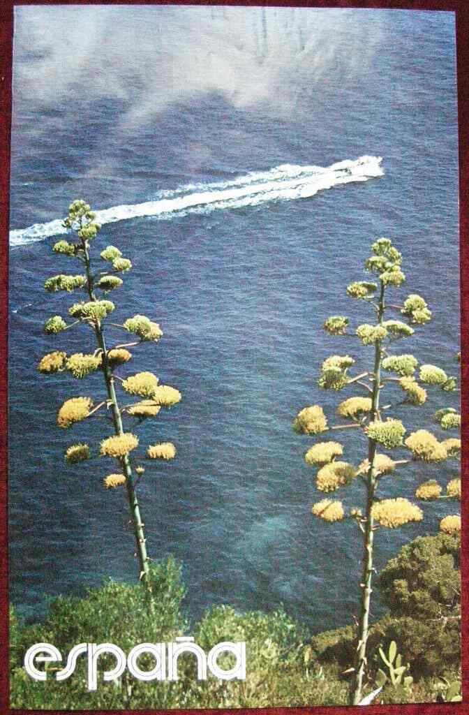 1978 Original Poster Spain Llafranc Gerona Motorboat Sea