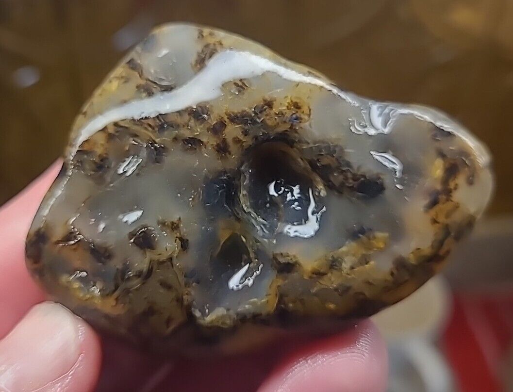 Montana Moss Agate Rough, Freshly Picked  From The Yellowstone 7lbs A-Class #3