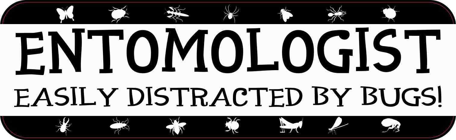 StickerTalk 10in x 3in Easily Distracted by Bugs Entomologist Vinyl Sticker C...