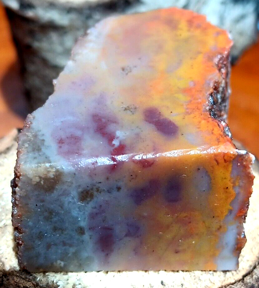 Volcanic Petrified Wood Limb Cast Cube Vivid Purple Yellow Orange @ Depth Inside