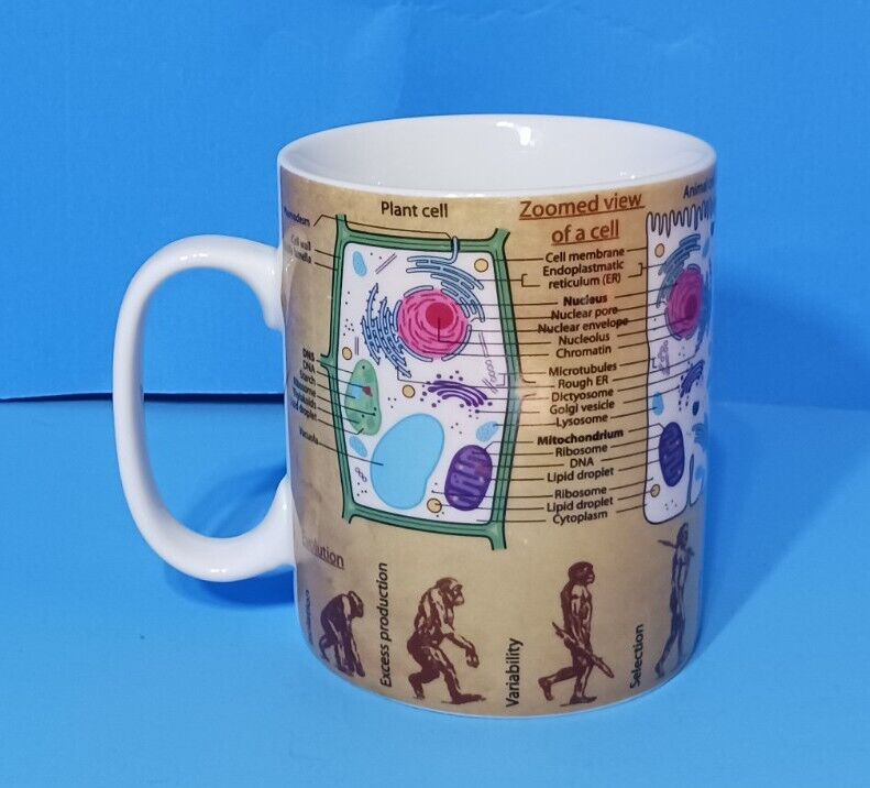 Biology Coffee Mug Cup Cells Evolution DNA Photosynthesis Konitz Science