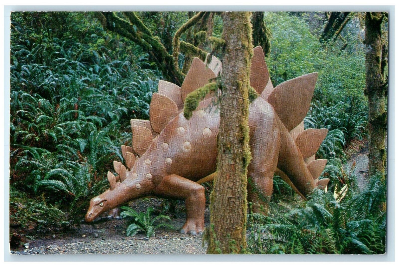 c1950\'s Stegosaurus Plant Eating Dinosaur Prehistoric Gardens Oregon OR Postcard
