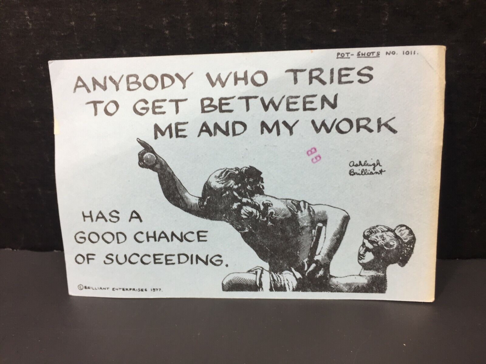 1976 Pot Shots Humor Postcard Ashleigh Brilliant #1011 Sarcasm Funny Mom letter