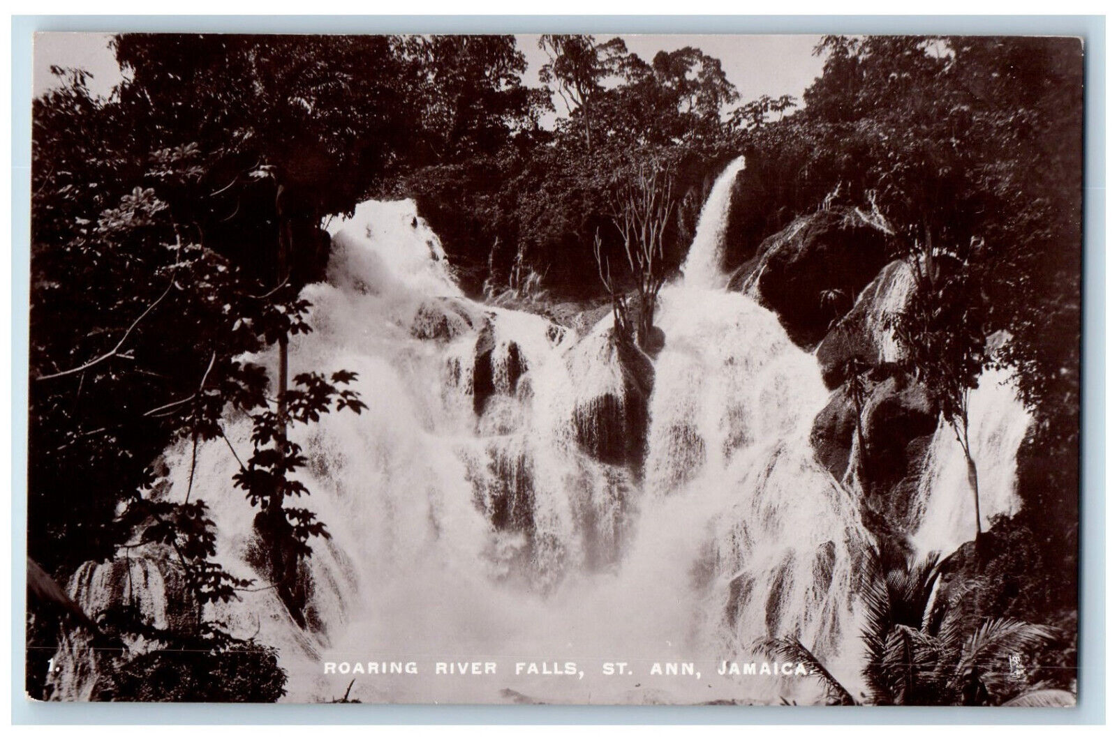 St. Ann Jamaica Postcard Roaring River Falls c1910 Unposted Antique RPPC Photo