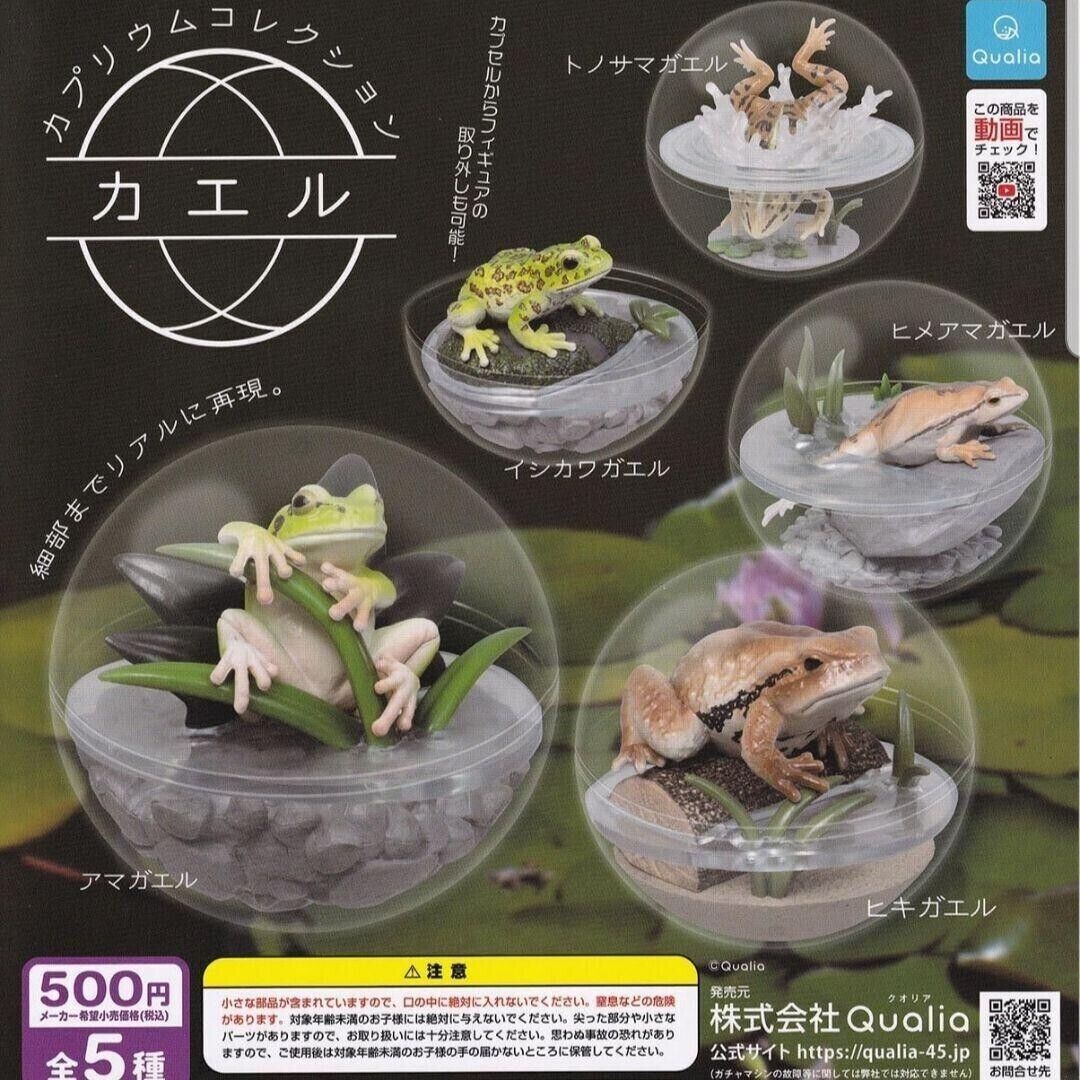 Caprium Collection Frog Figure All 5 Types Complete Set Qualia JAPAN