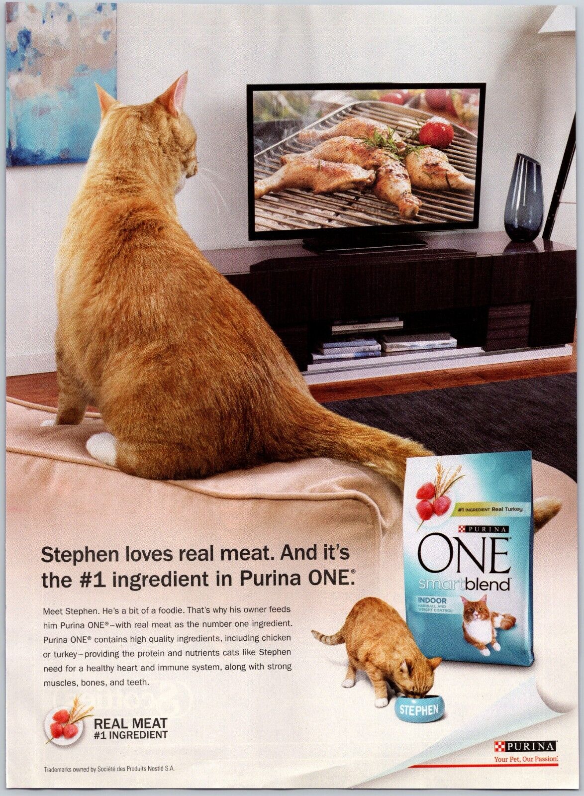 2013 Purina One Blend Cat Food Smart Blend Indoor Print Ad