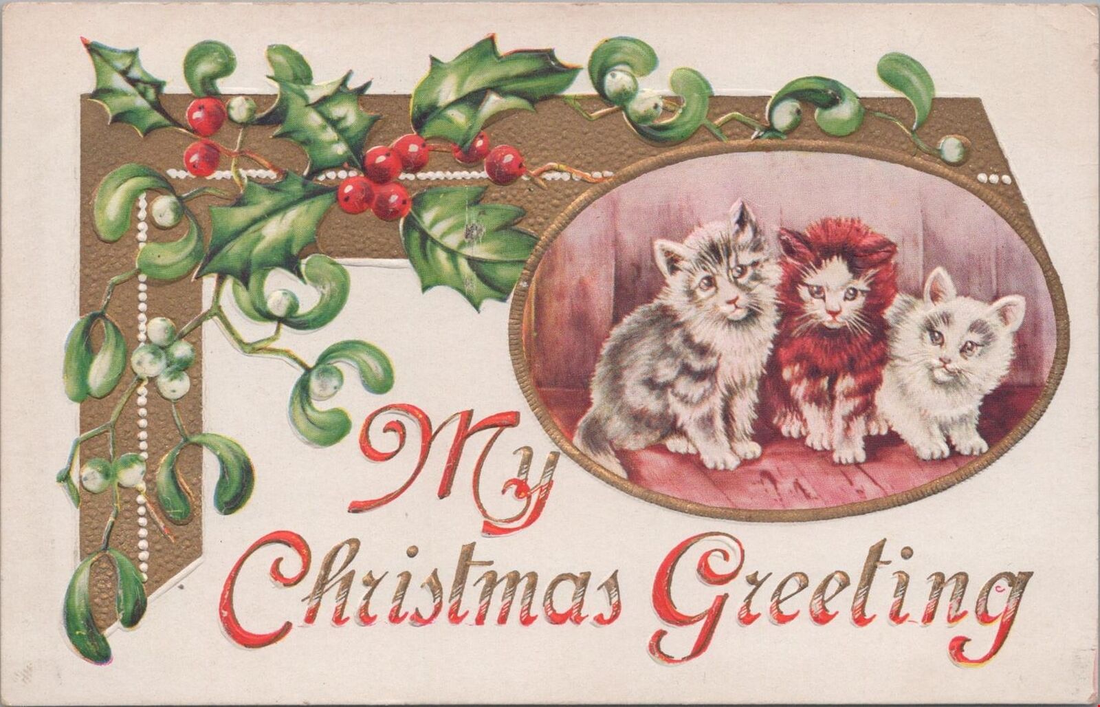 Postcard My Christmas Greeting Three Cute Kittens 