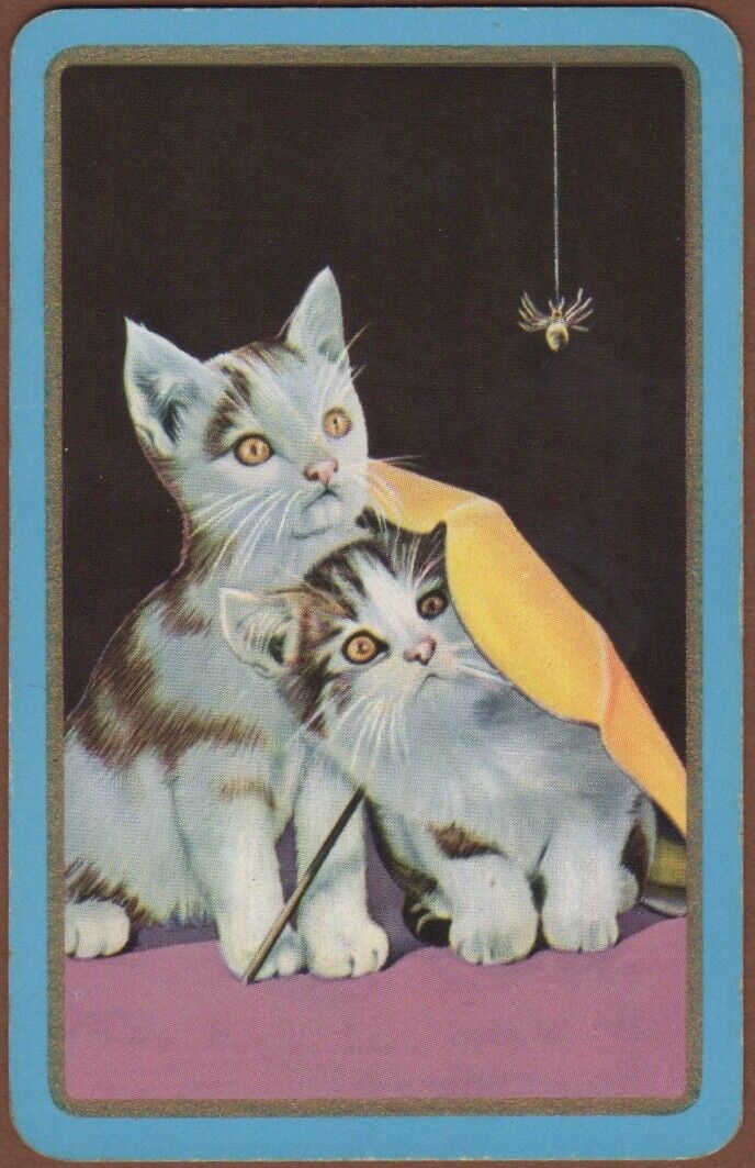Playing Cards Single Card Old Vintage * KITTENS CATS + SPIDER Kitten Cat Picture