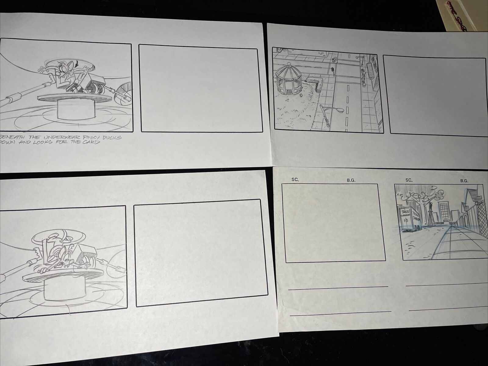 Pinky and The Brain Animation Cel vtg Cartoons Production Art STORYBOARDS 113