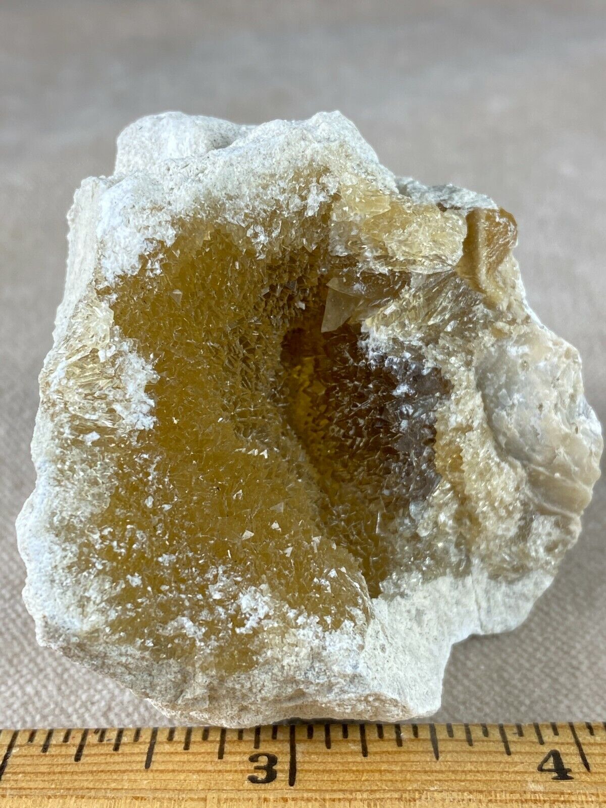 Calcite Crystals Replacing Fossil Sea Life - Ancient Florida Coral Reef 