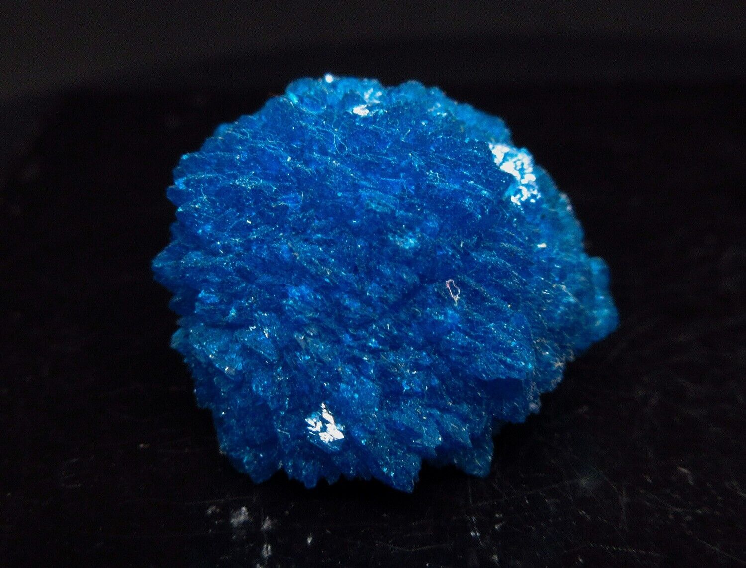 Dark blue Cavansite half rosette formation (non precious natural stone) # 2211