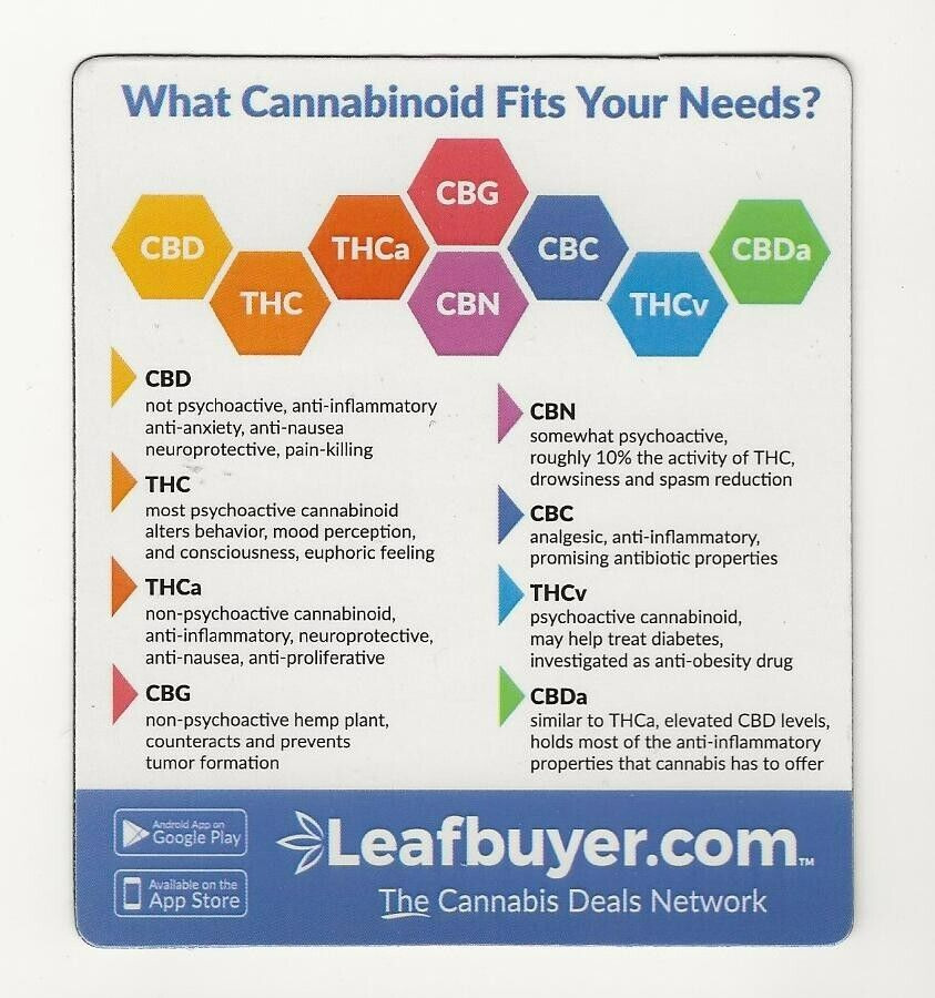 Cannabinoid Education Magnet 4 by 4 inches + Free Leafbuyer Magnet 4x2 inches
