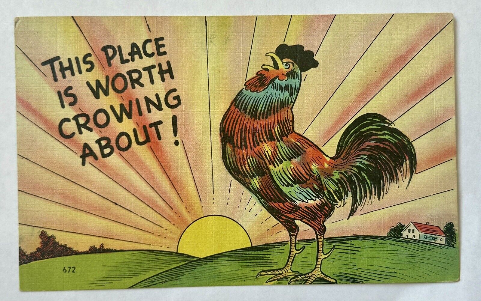 Rooster. THIS PLACE IS WORTH CROWING ABOUT  Dear Dad. 1945 Funny Postcard