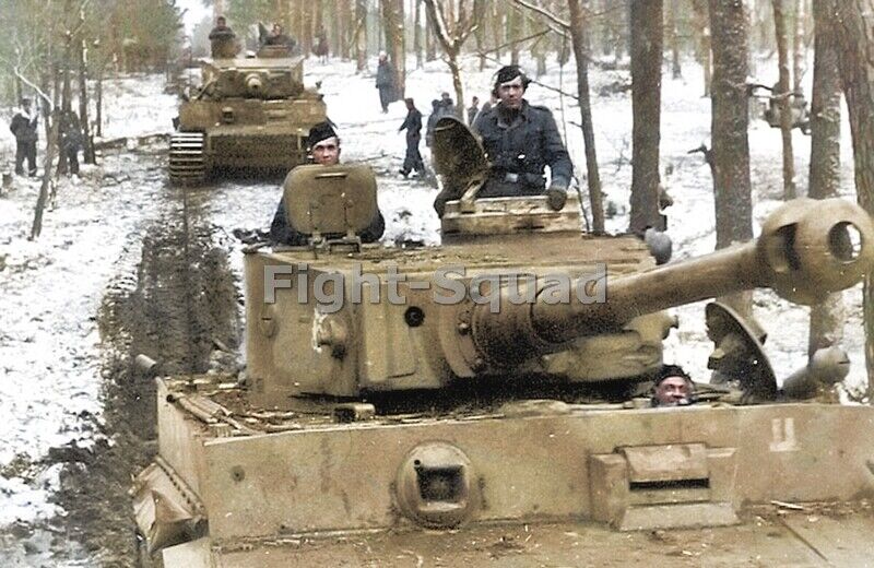 WW2 Picture Photo 1943 German tank PzVI Tiger I Das near Kirowograd 3843