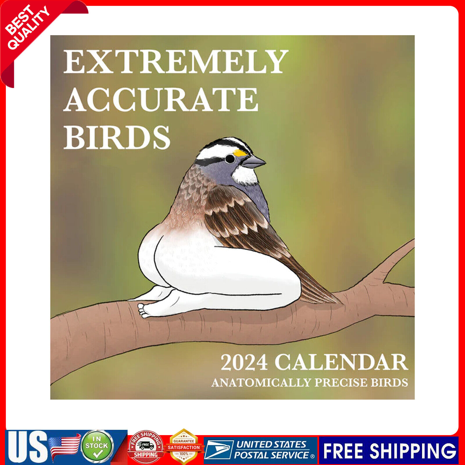 2024 Calendar Of Extremely Accurate Birds | Decorative Wall Monthly Calendars💕
