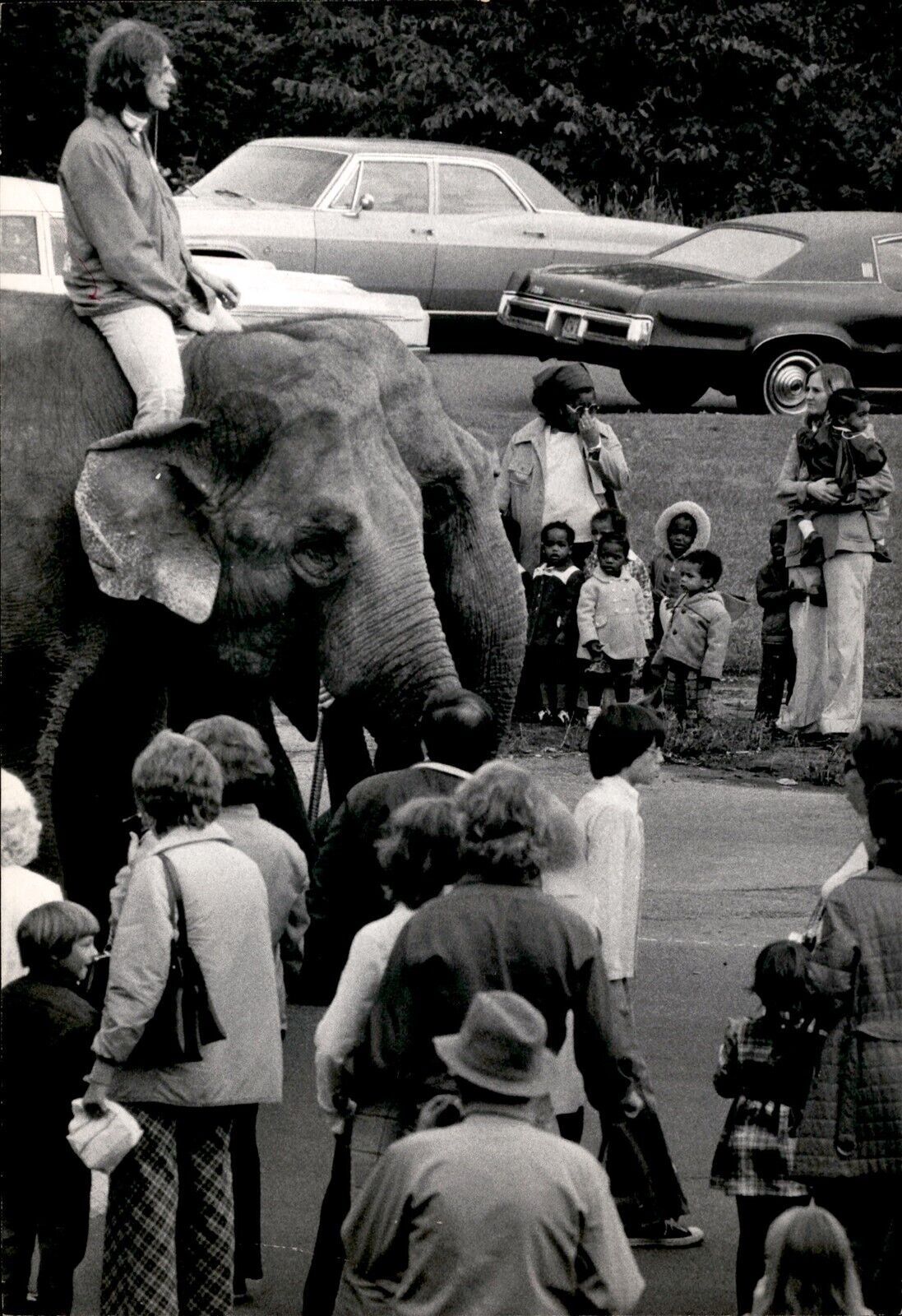 LG24 1973 Orig Photo RINGLING BROS BARNUM BAILEY CIRCUS ELEPHANTS MET STADIUM
