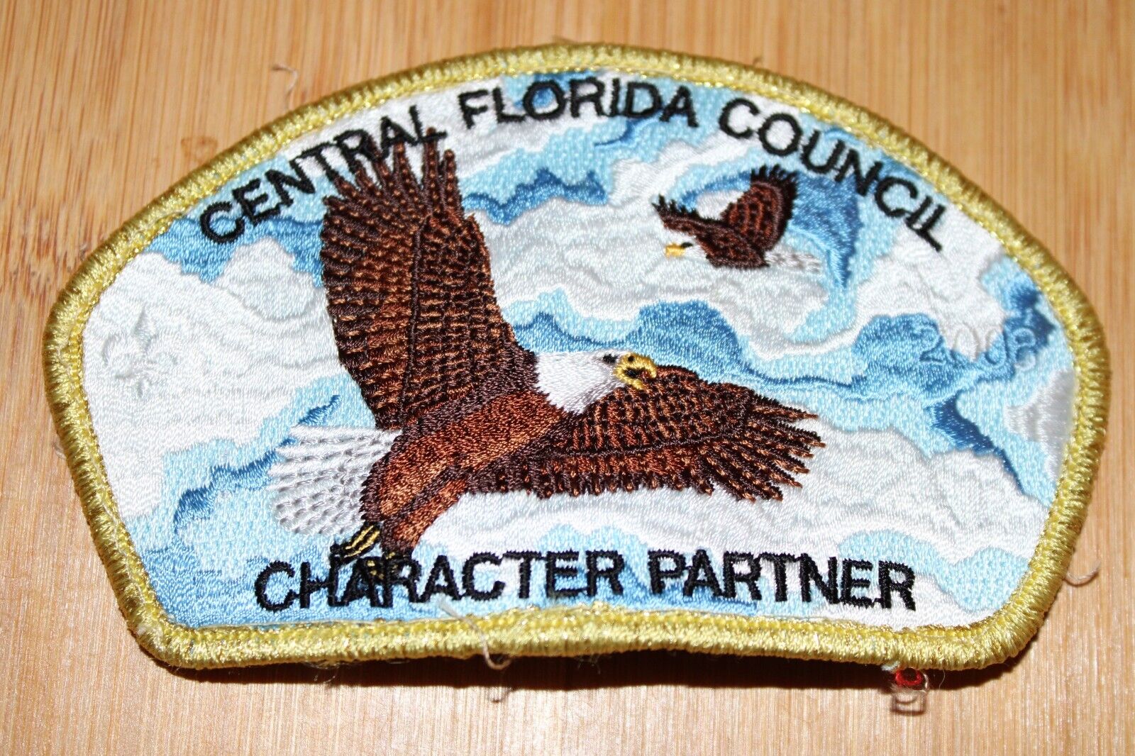 Boy Scouts of America BSA Patch Central Florida Character Partner Eagle