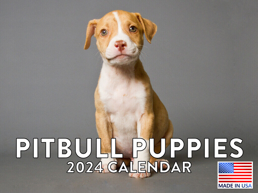 Pitbull Puppy Dog Lovers Breeders Gift 2024 Wall Calendar