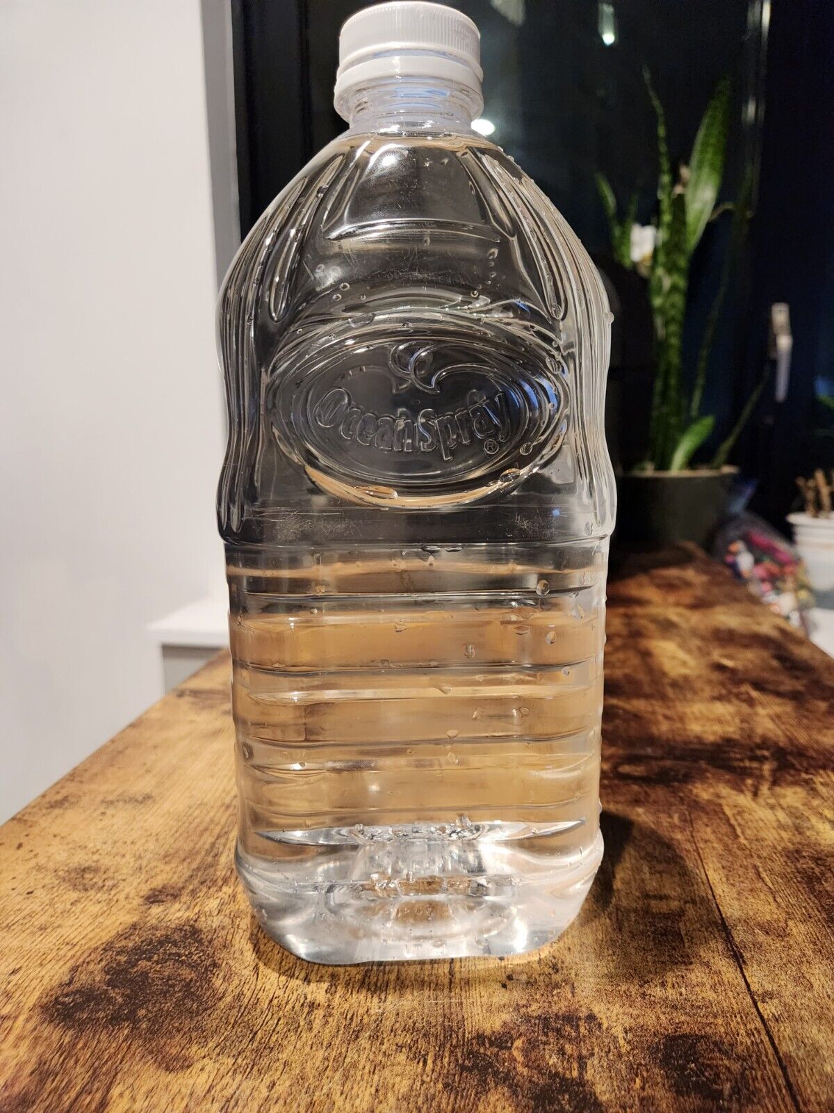 Nyc Tap Water (64oz) -Brooklyn Clinton Hill Sourced (Poured 4/1/24)